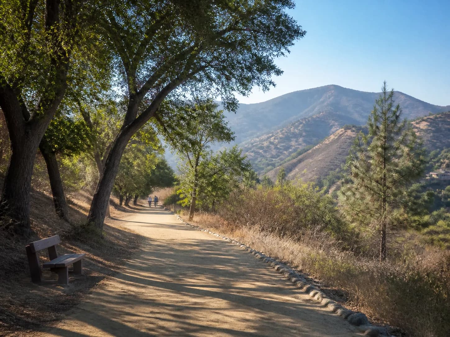 An easy shaded Foothills path