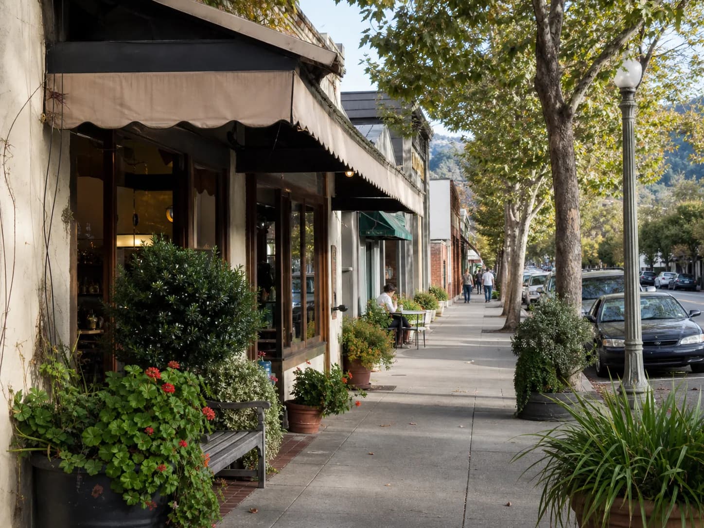 Shaded storefronts along a Montrose-style commercial street